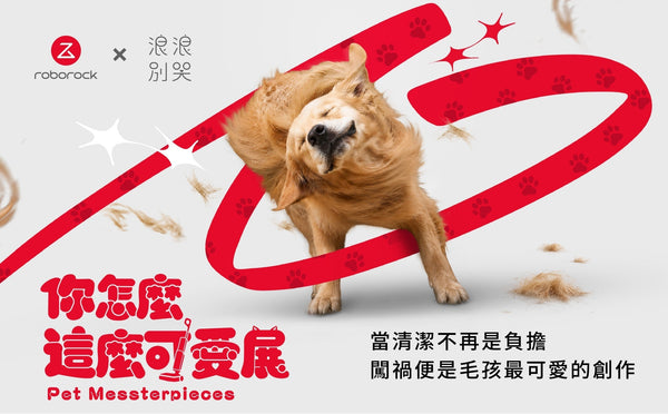 毛孩的搗蛋照要辦展了｜Roborock 石頭科技 × 浪浪別哭《你怎麼這麼可愛展》登場