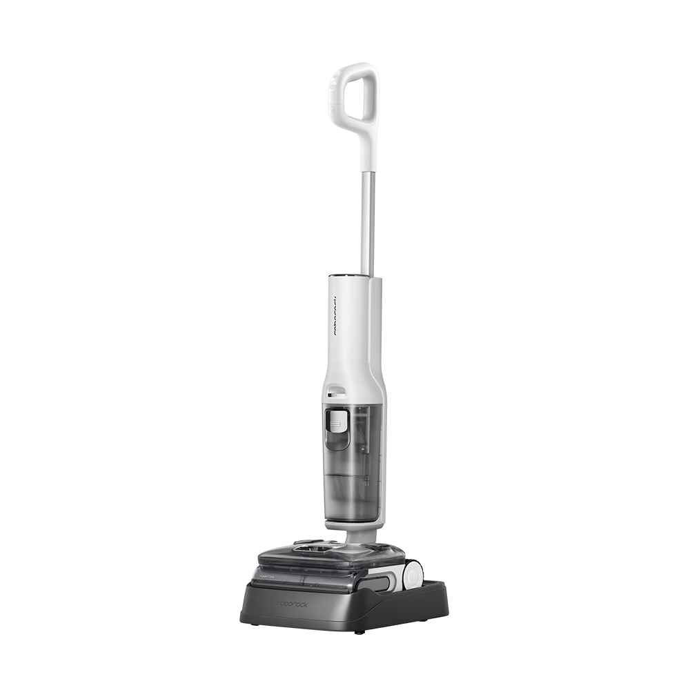 Roborock F25 Steam