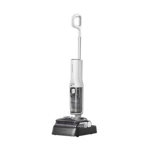 Roborock F25 Steam